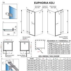 Дверь для душевого уголка Radaway Euphoria KDJ 120 383042-01R