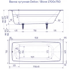 Ванна чугунная Delice France Biove 170x75 с ручками DLR220509R