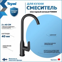 Смеситель для кухни Teymi Lina T10224