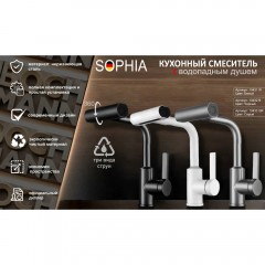 Смеситель для кухни Boch Mann Sophia B BM10432