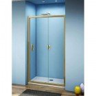 Душевая дверь GooDDooR Jazze WTW-110-C-BR