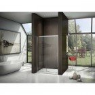 Душевая дверь GooDDooR Latte WTW-110-C-WE